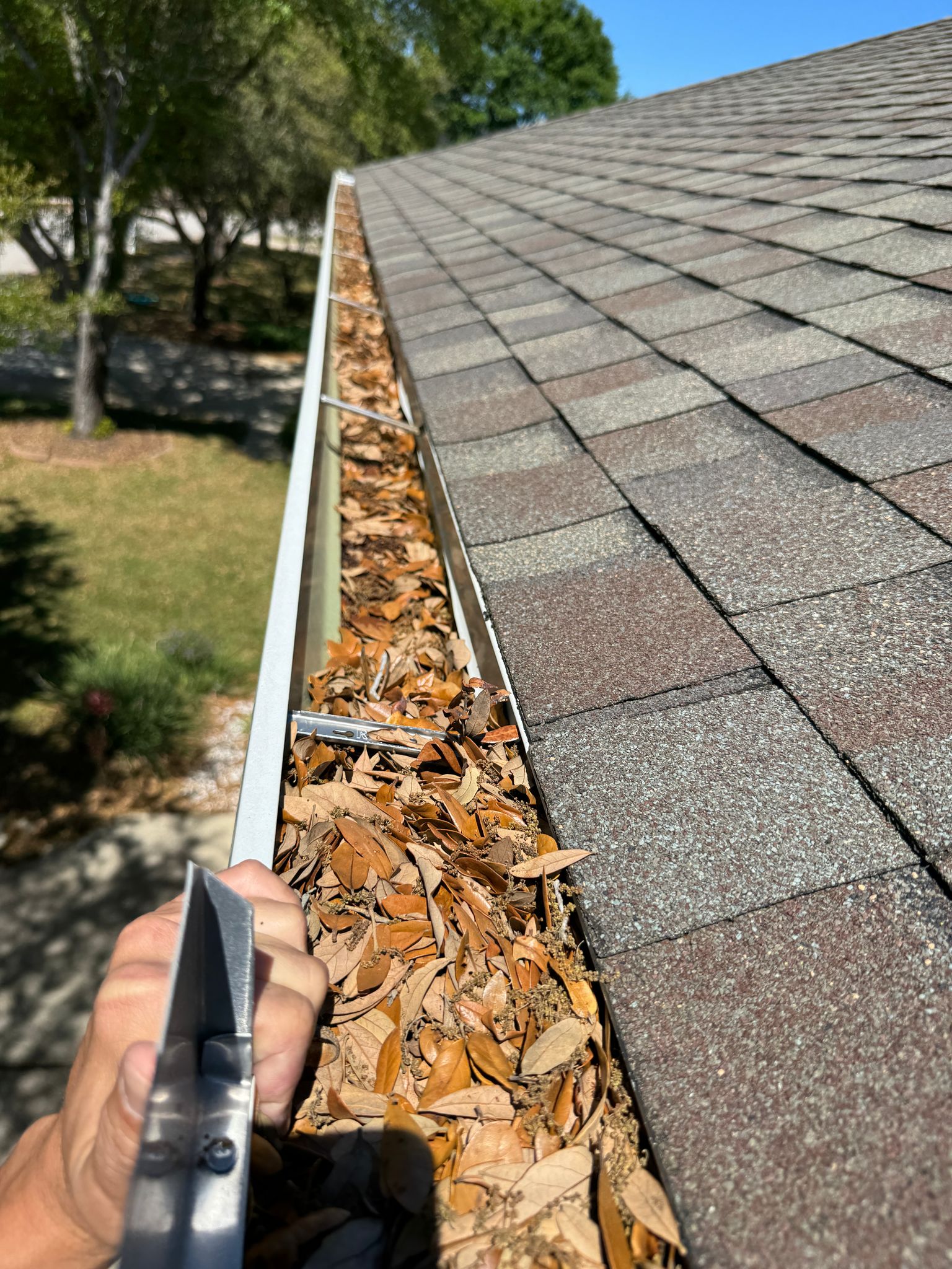 Picture Idea: Gutter Cleaning Services
