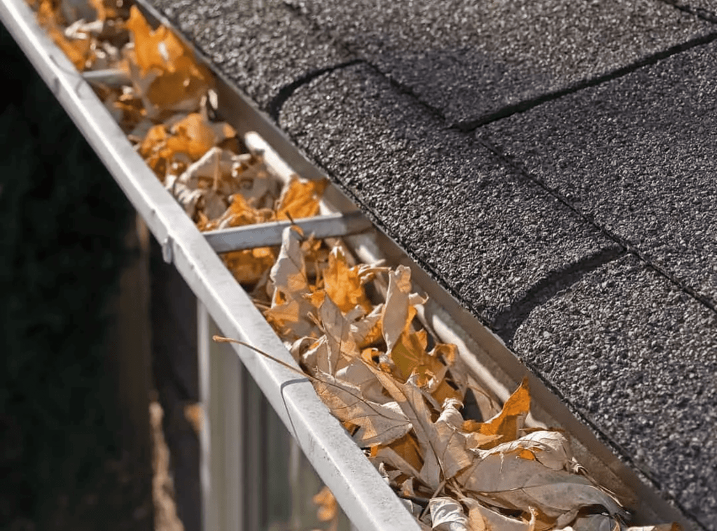 Gutter cleaning service in Lake Buena Vista FL