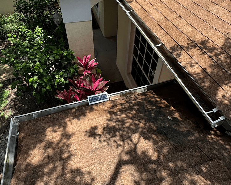 Gutter filled with leaves before professional cleaning